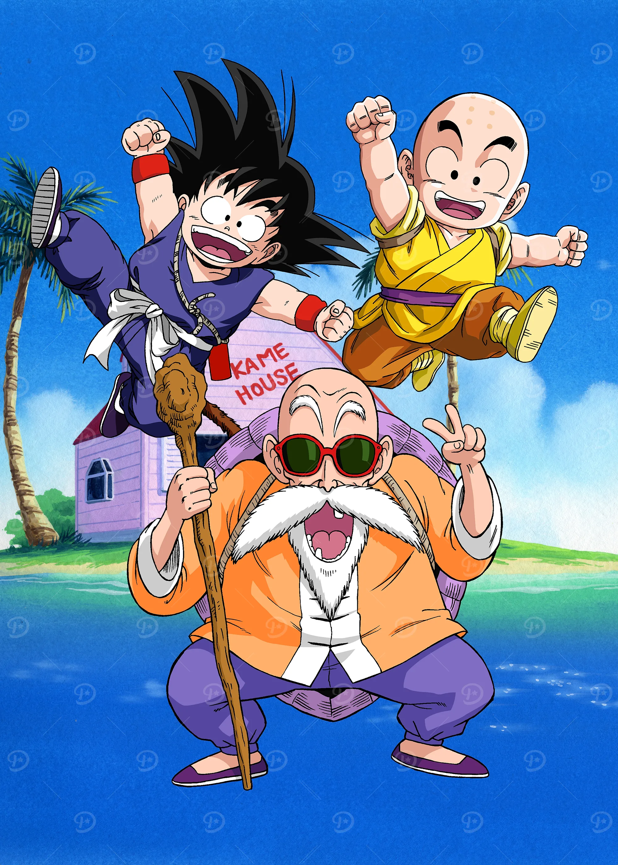 Dragon Ball: Personagens na Casa do Kame